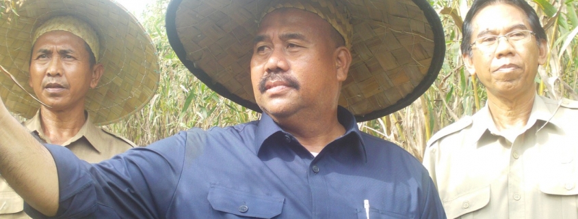 Wakil Bupati Panen Jelai
