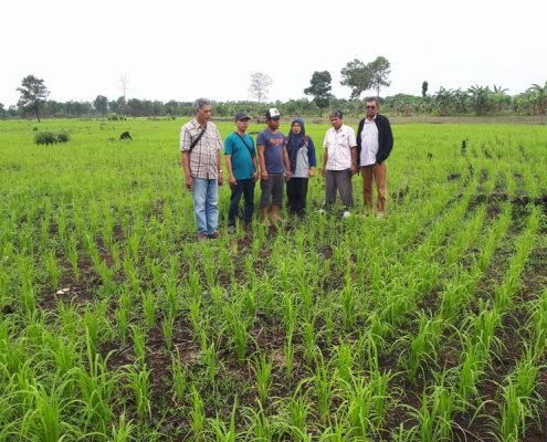 20191101_114410_800x600